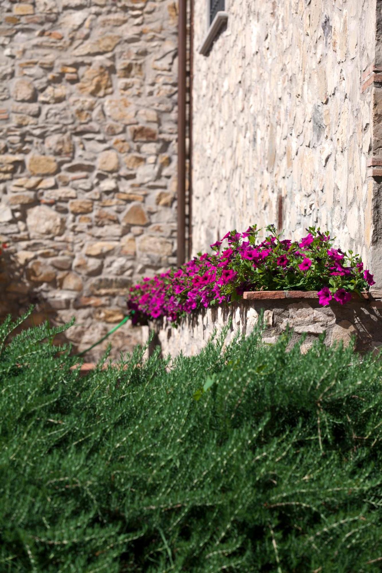 Agriturismo La Casa Di Rodo Quarrata Eksteriør bilde