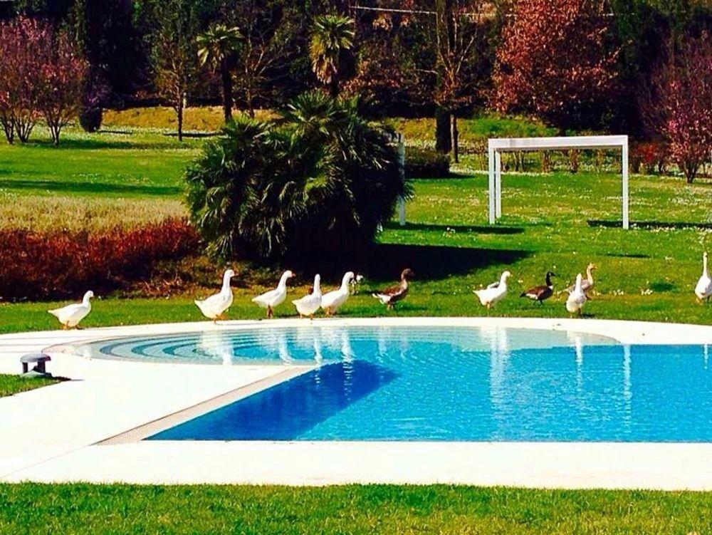 Agriturismo La Casa Di Rodo Quarrata Eksteriør bilde