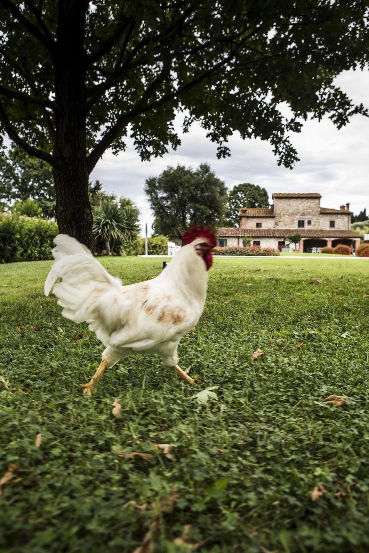 Agriturismo La Casa Di Rodo Quarrata Eksteriør bilde